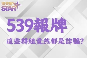 539報牌